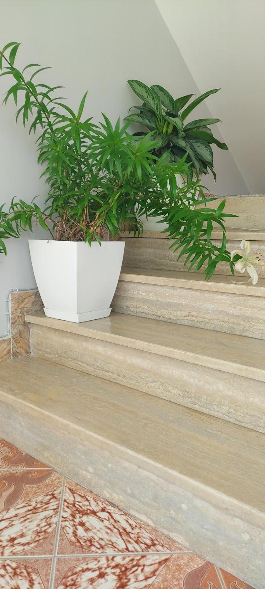 Škalngur Hotel Fama מראה חיצוני תמונה